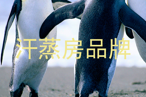 汗蒸房品牌