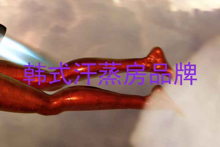 韩式汗蒸房品牌