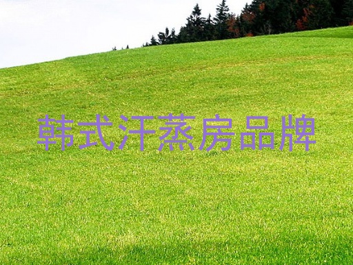 韩式汗蒸房品牌