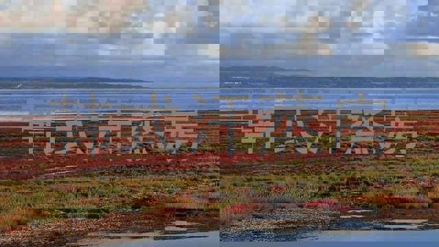 韩式汗蒸房