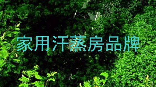 家用汗蒸房品牌