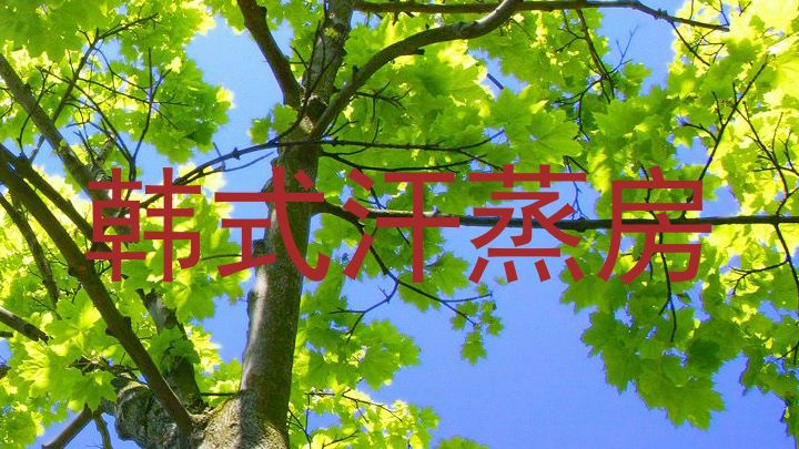 韩式汗蒸房