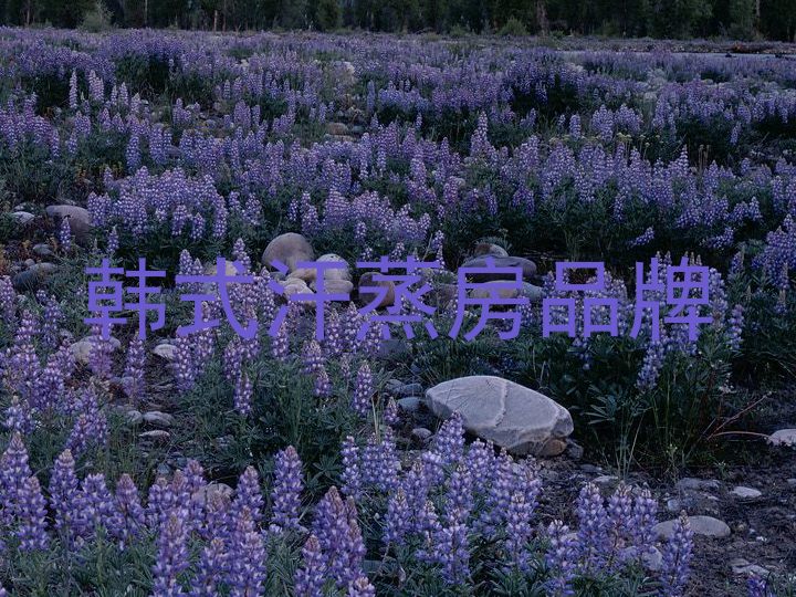 韩式汗蒸房品牌