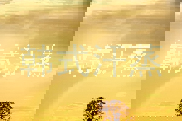 韩式汗蒸