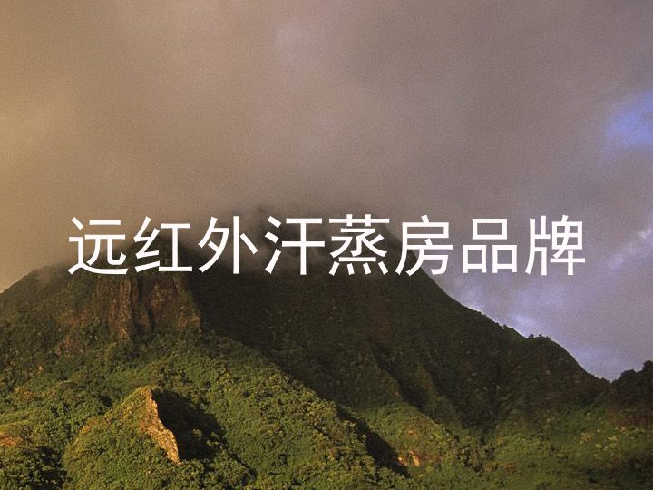 远红外汗蒸房品牌