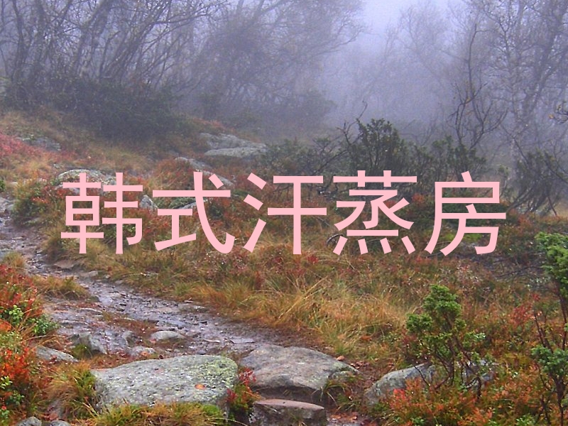 韩式汗蒸房