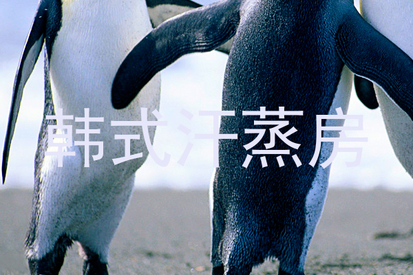 韩式汗蒸房