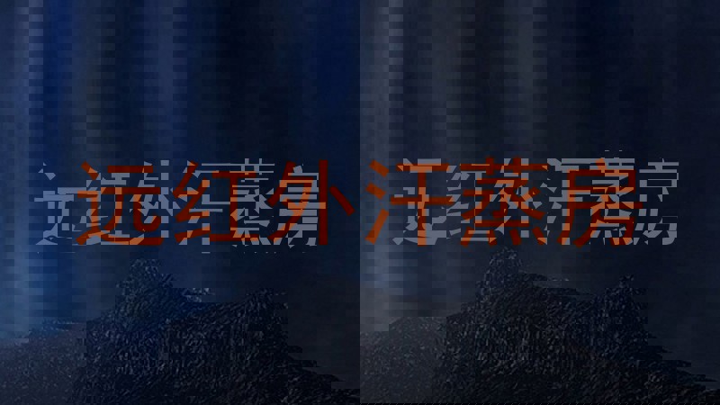 远红外汗蒸房