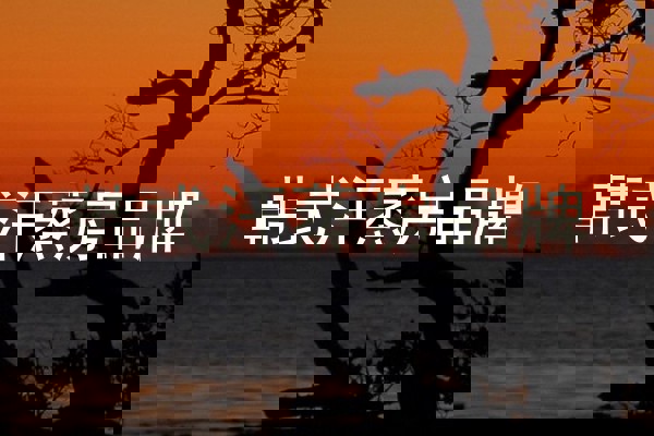 韩式汗蒸房品牌