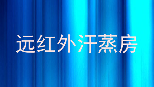 远红外汗蒸房
