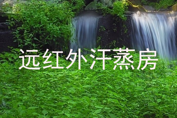 远红外汗蒸房