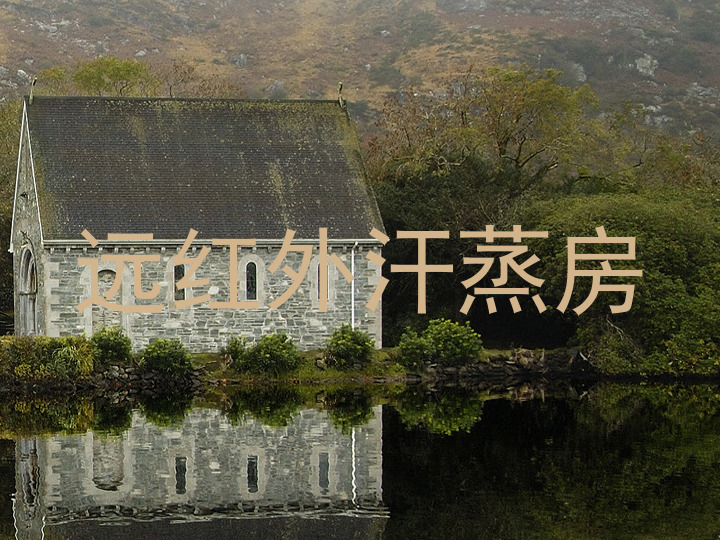 远红外汗蒸房