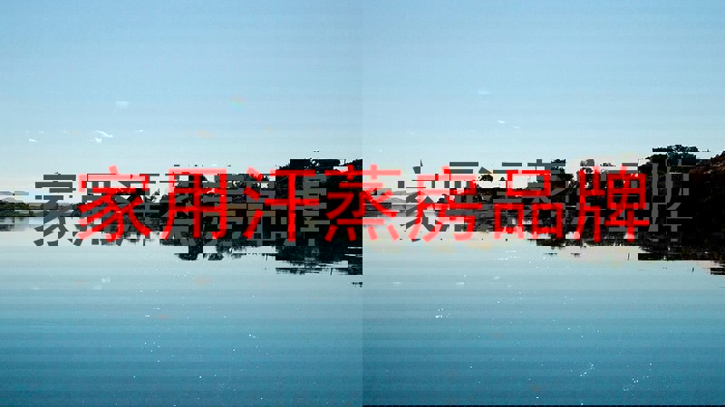 家用汗蒸房品牌