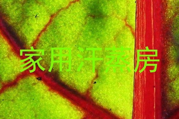 家用汗蒸房