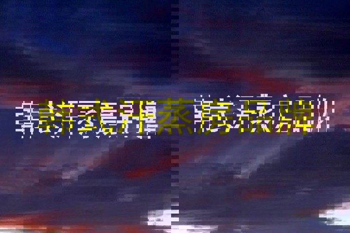 韩式汗蒸房品牌