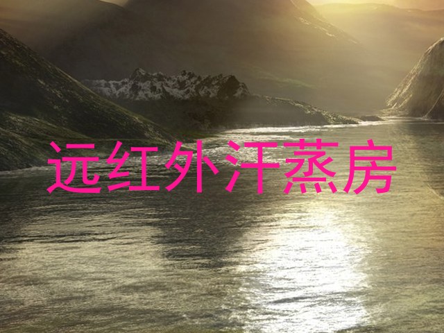 远红外汗蒸房