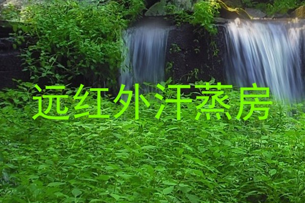 远红外汗蒸房