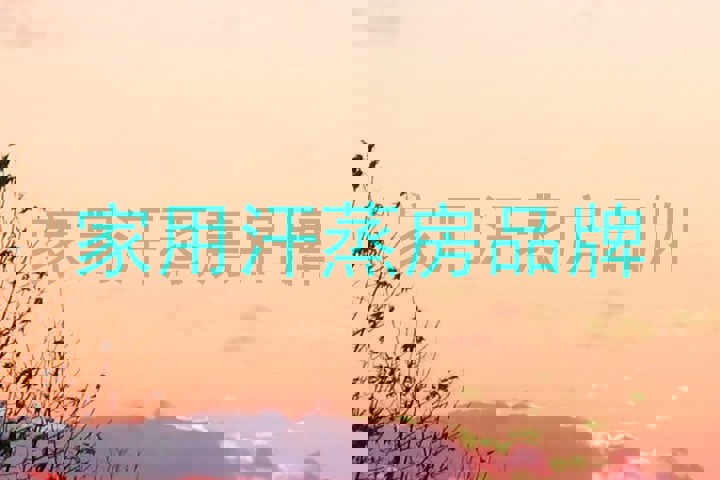 家用汗蒸房品牌