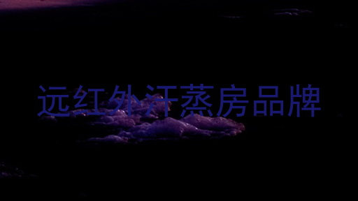 远红外汗蒸房品牌