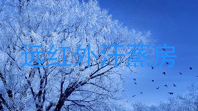 远红外汗蒸房