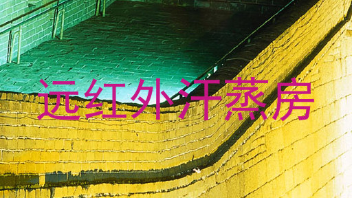 远红外汗蒸房