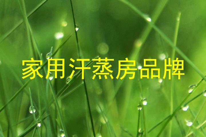 家用汗蒸房品牌