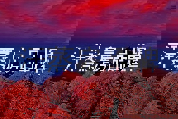 汗蒸房品牌