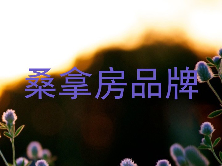 桑拿房品牌