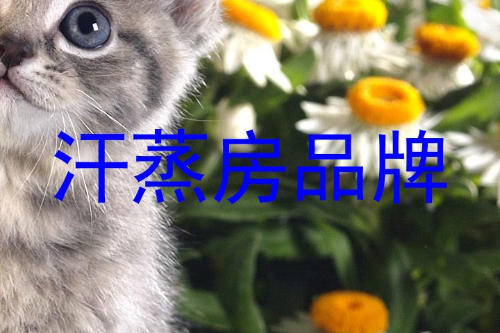 汗蒸房品牌