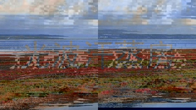 光波汗蒸房