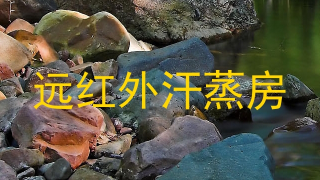远红外汗蒸房