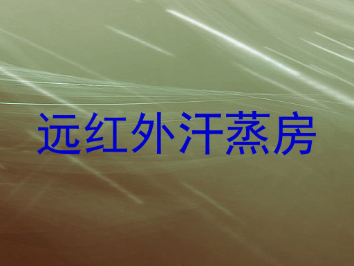 远红外汗蒸房