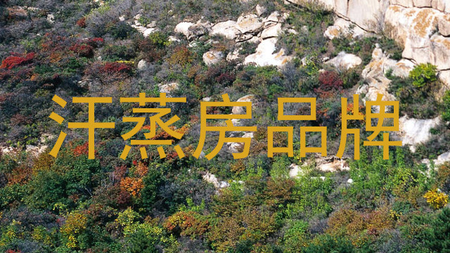 汗蒸房品牌