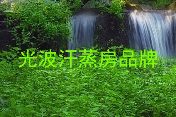 光波汗蒸房品牌