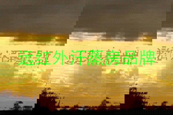 远红外汗蒸房品牌