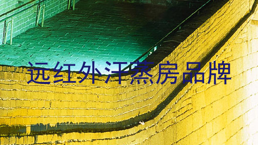 远红外汗蒸房品牌