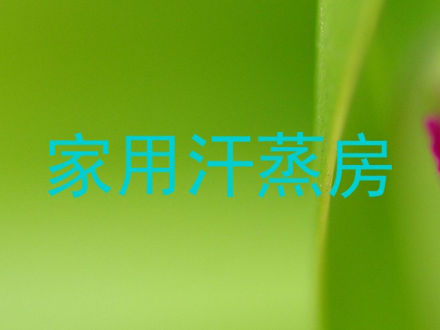 家用汗蒸房