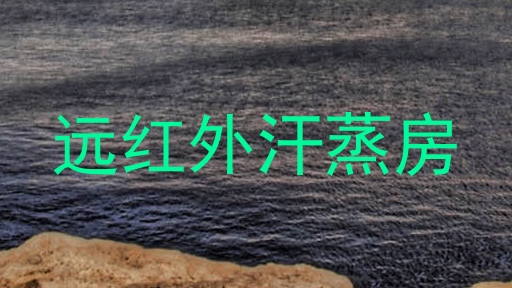 远红外汗蒸房
