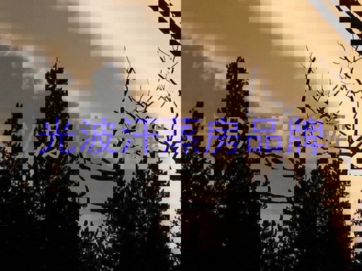 光波汗蒸房品牌