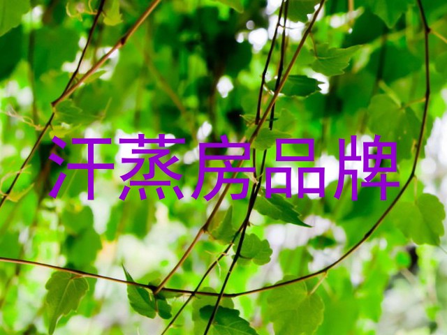 汗蒸房品牌