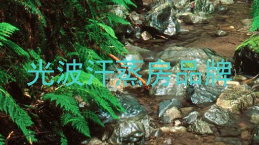 光波汗蒸房品牌