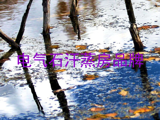 电气石汗蒸房品牌