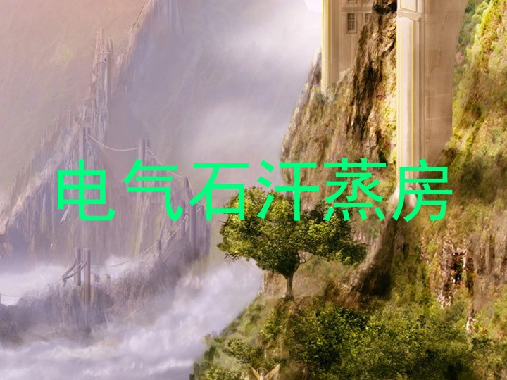 电气石汗蒸房