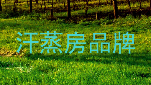 汗蒸房品牌
