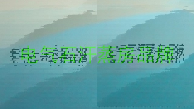 电气石汗蒸房品牌