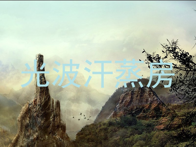 光波汗蒸房