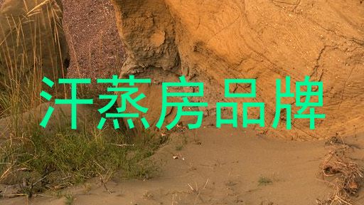 汗蒸房品牌