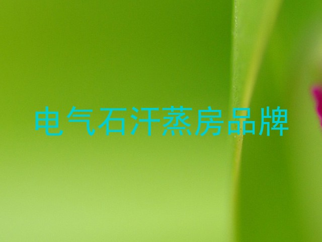 电气石汗蒸房品牌