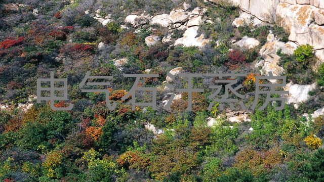 电气石汗蒸房