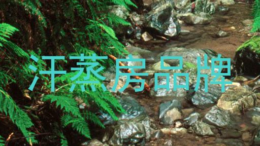 汗蒸房品牌